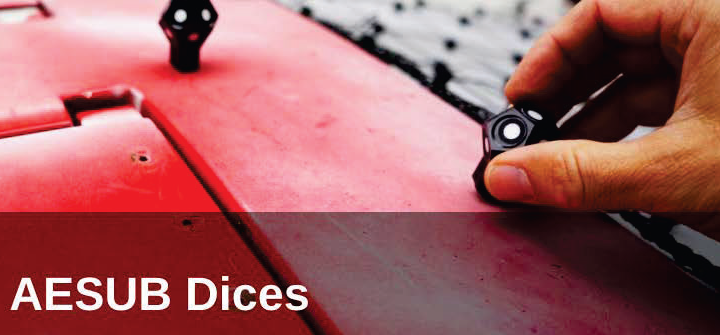 AESUB Dice - 12 dice/case